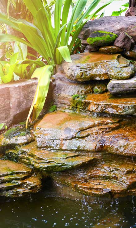 Water Feature - Pond with Waterfall