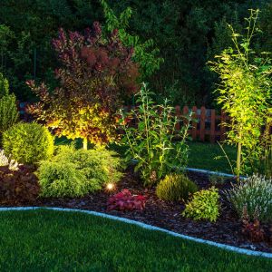 Residential Landscape Lighting