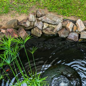 Residential Water Features