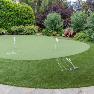 Backyard Putting Greens