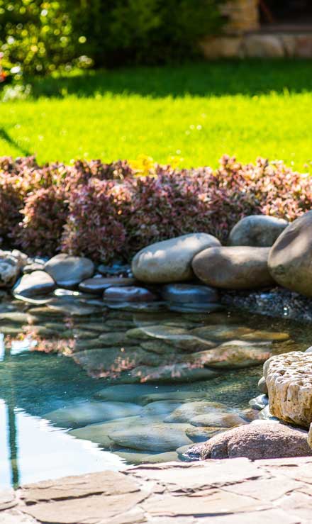 Pond Water Feature