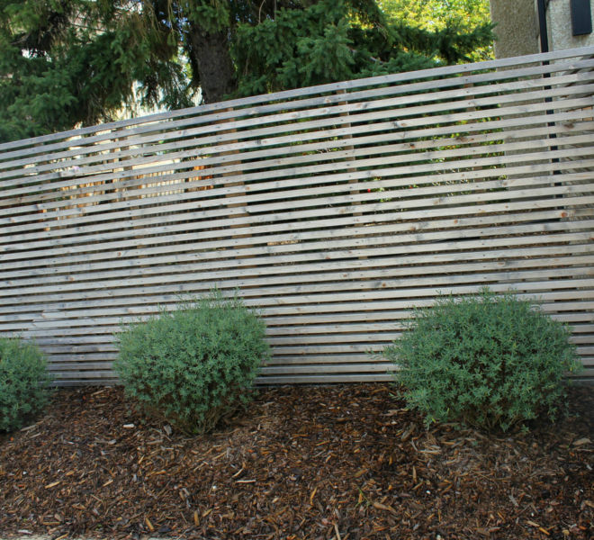 fence with bushes