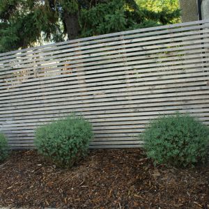 fence with bushes