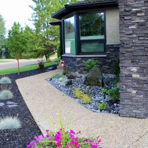 Residential front yard landscaping with shrubs and mulch