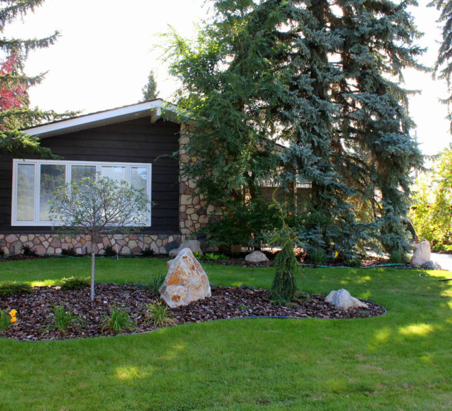 Residential landscaping with mulch, plants and trees
