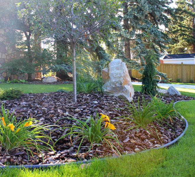 landscaping with mulch, plants and trees
