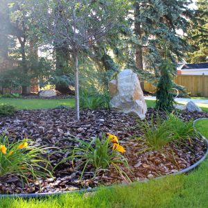 landscaping with mulch, plants and trees