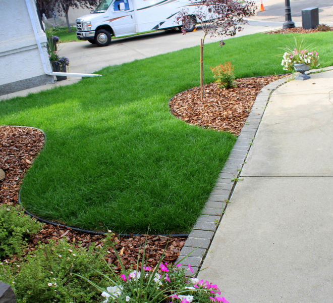 Residential Front yard landscaping - sod and plants