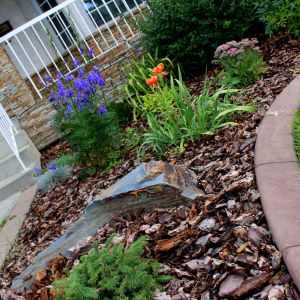 Residential front landscaping with shrubs