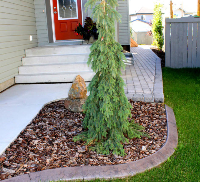 front house mulch, tree and stone walkway