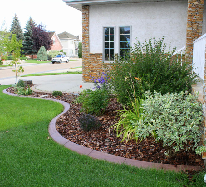 Garden Landscaping with bushes, mulch and concrete curb