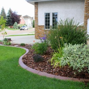 Garden Landscaping with bushes, mulch and concrete curb